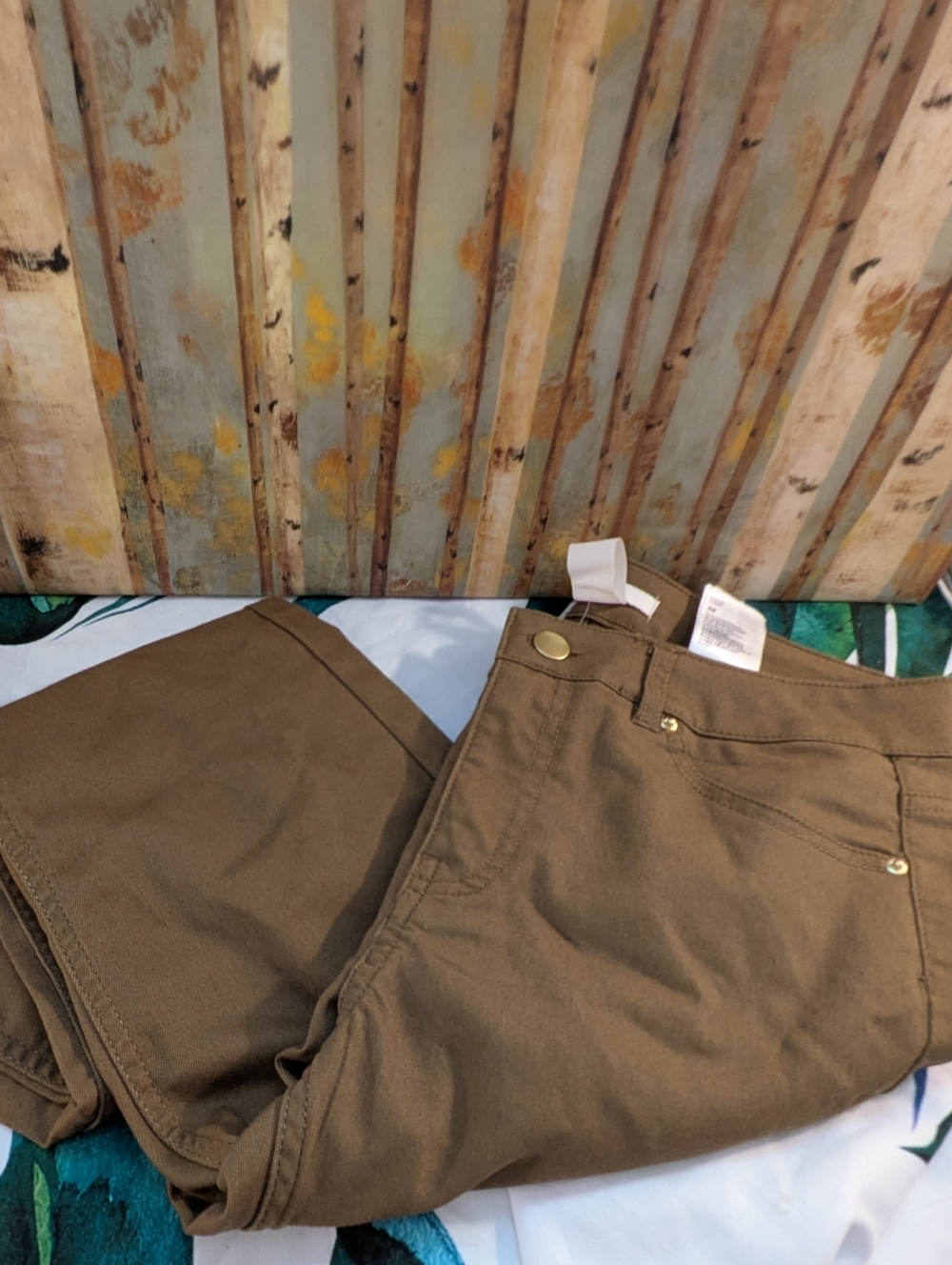 H&M Olive Brown  Pants New